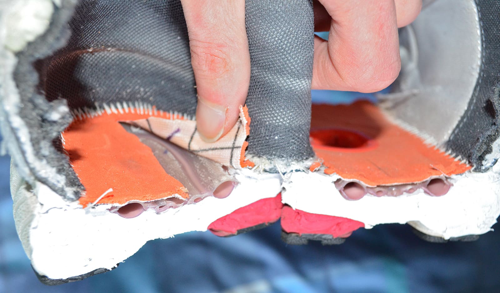 Cross-section of a running shoe showing the cushioned heel and midsole foam